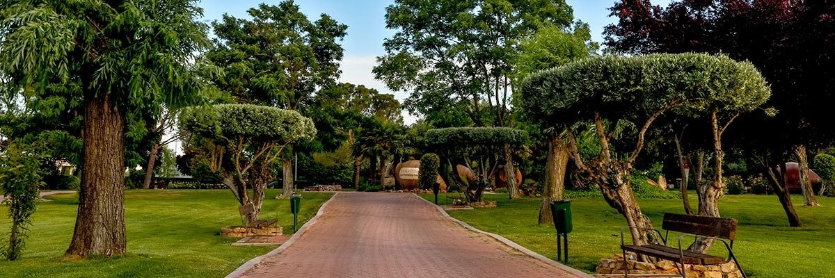 Jardines con olivos del complejo