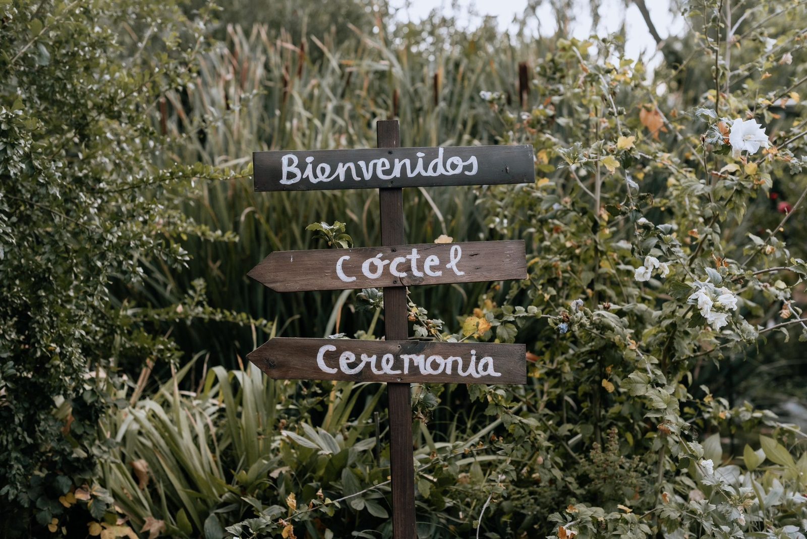Finca Condado de Cubillana