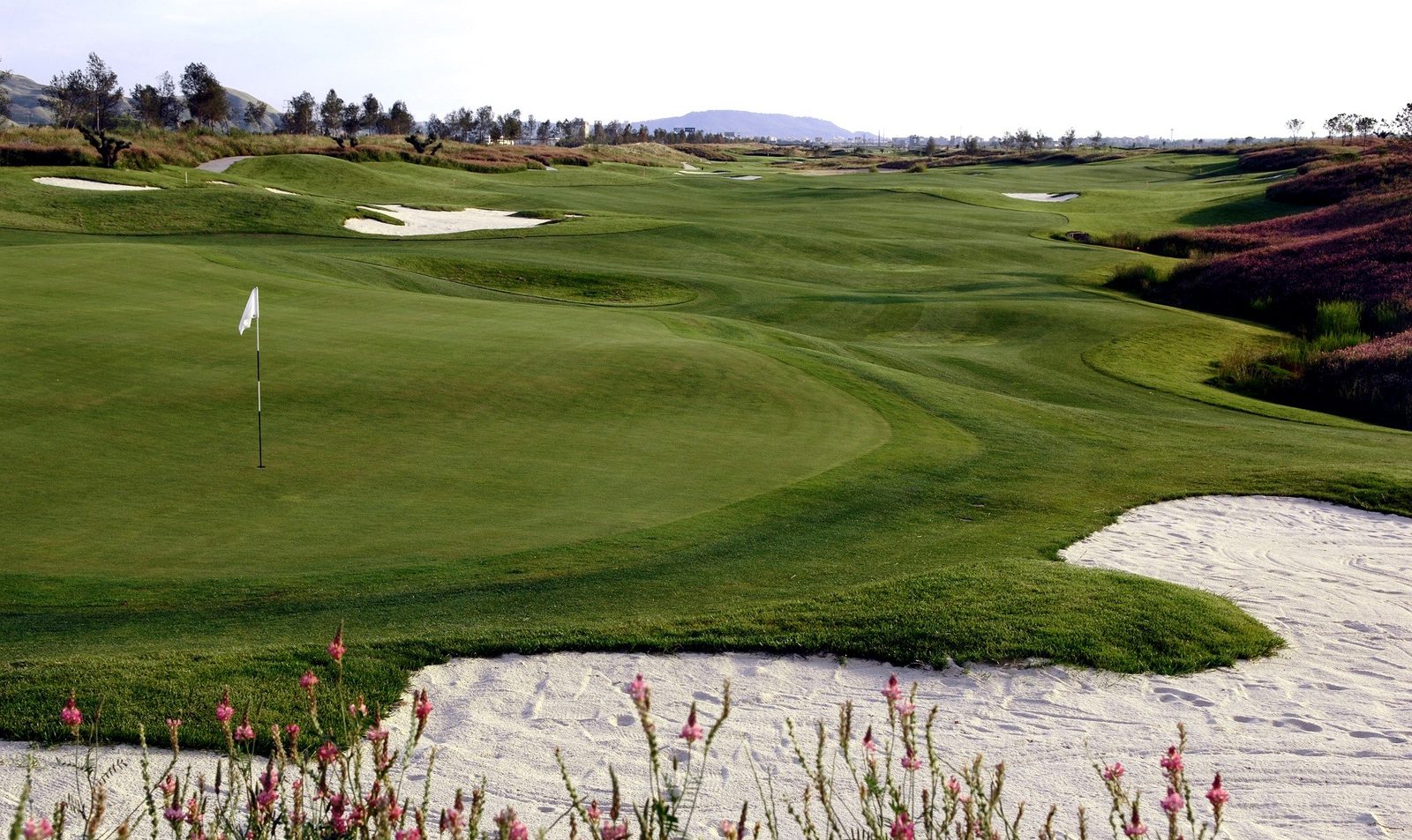 Campo de golf
