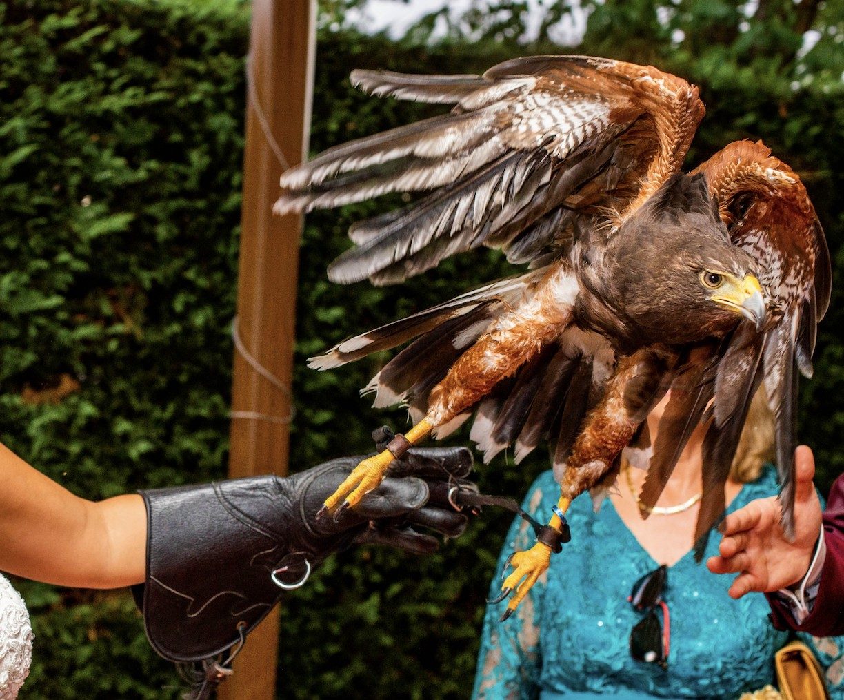 Ceremonia con la entrega de los anillos con un águila