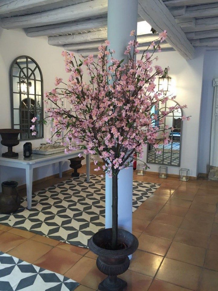 Finca Etxemendi