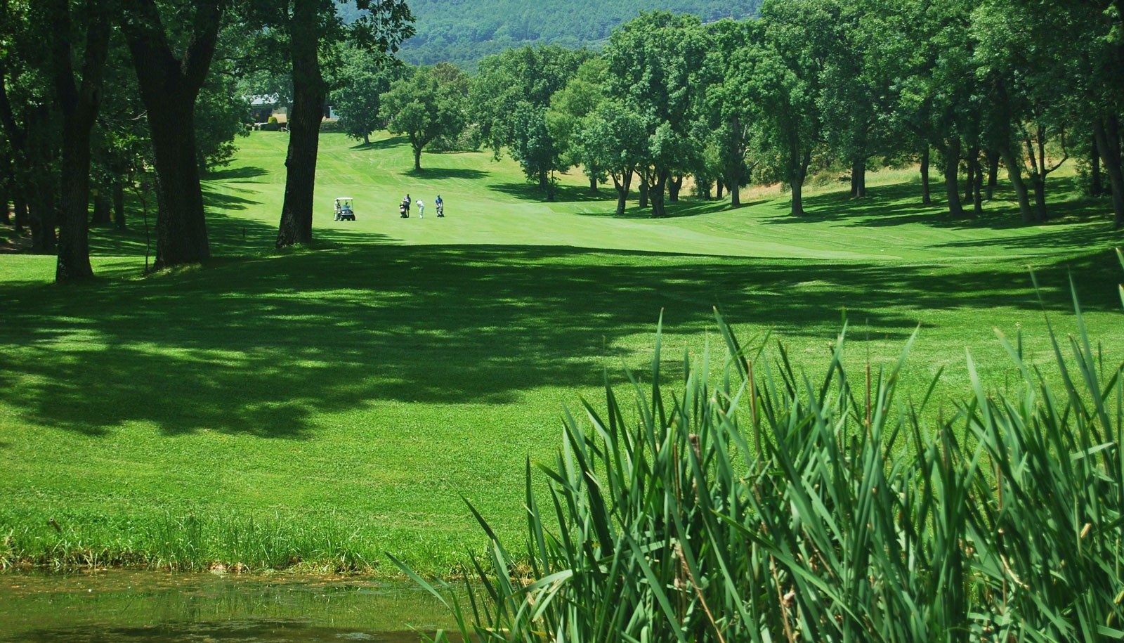 Real Club de Golf La Herrería