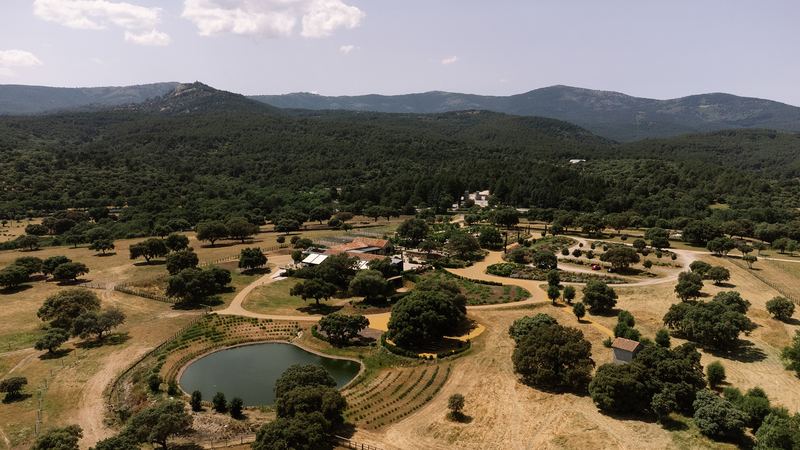 Jaral de la Mira, en San Lorenzo de El Escorial