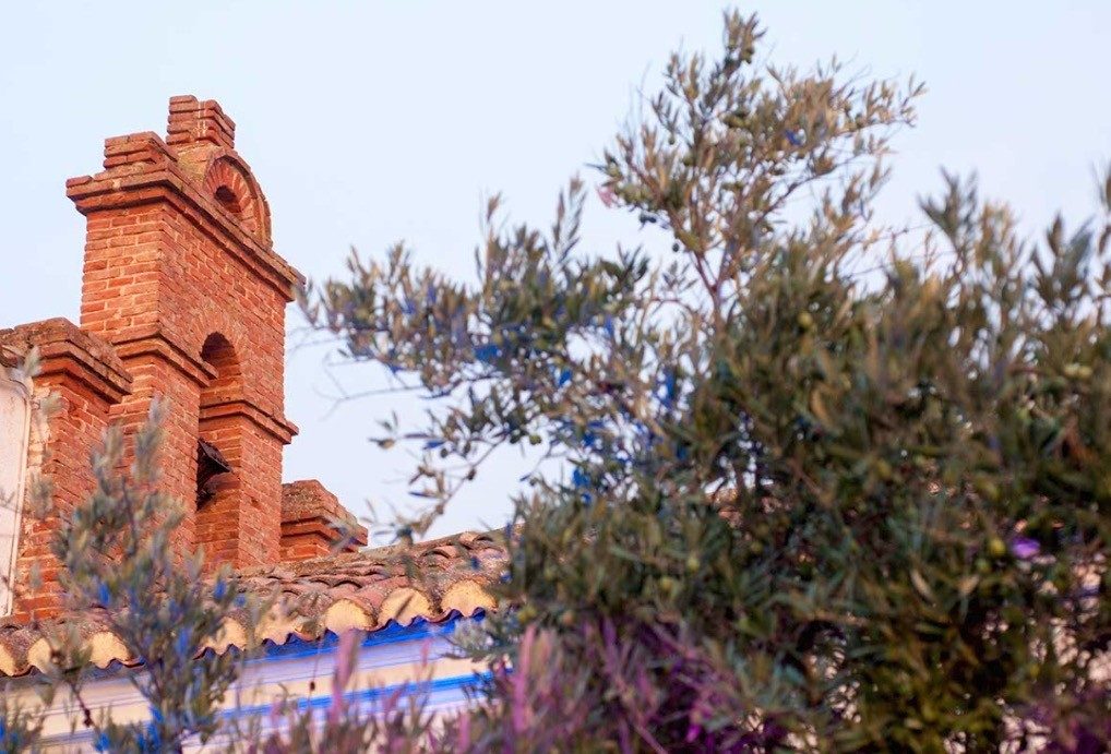 Campanario del antiguo convento con un olivo