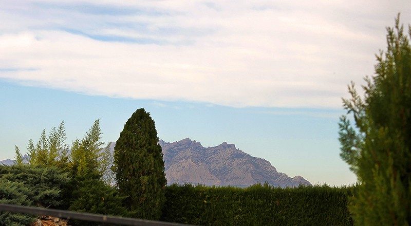 Rincón de la finca