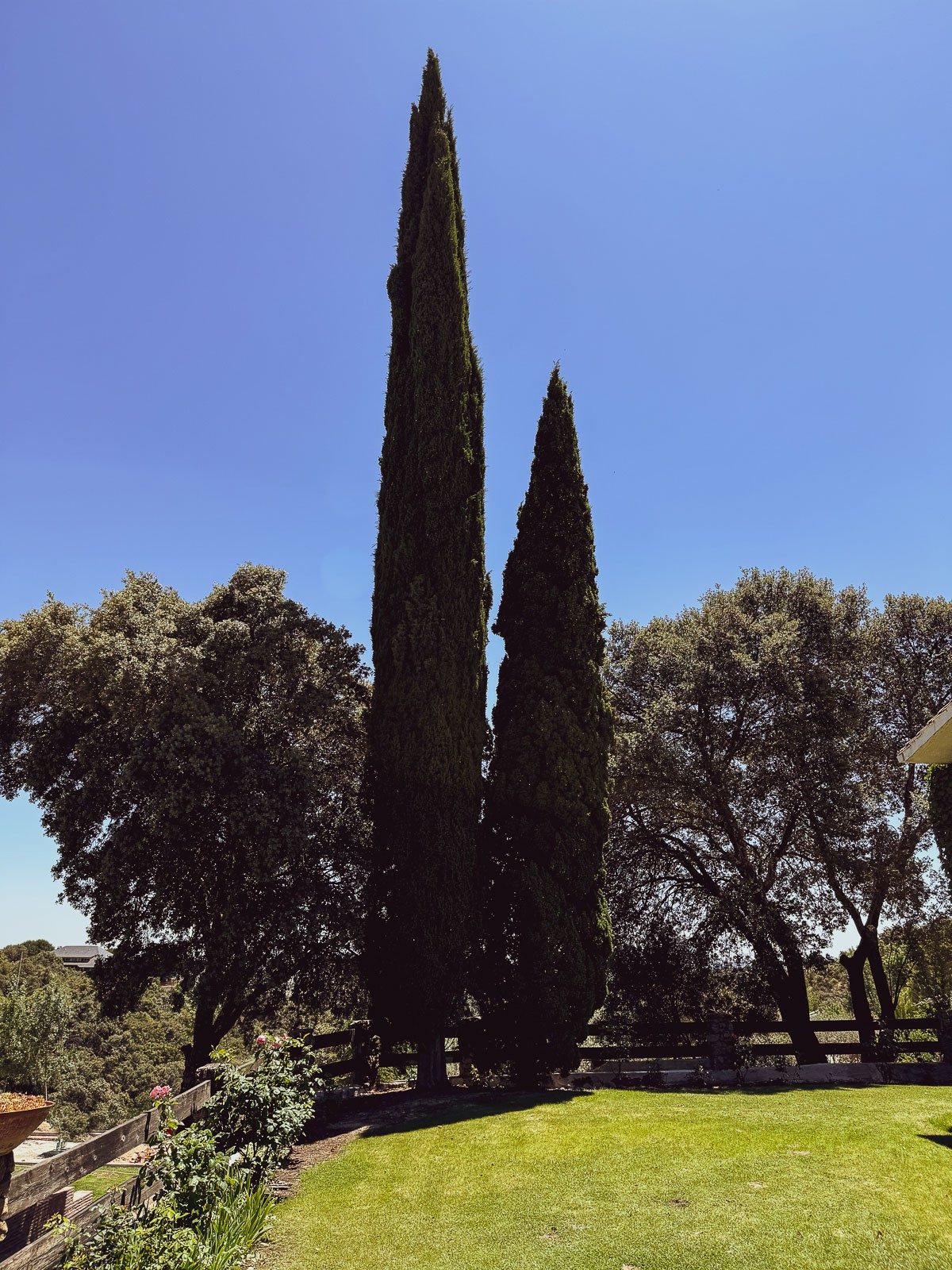 El Mirador del Sauce