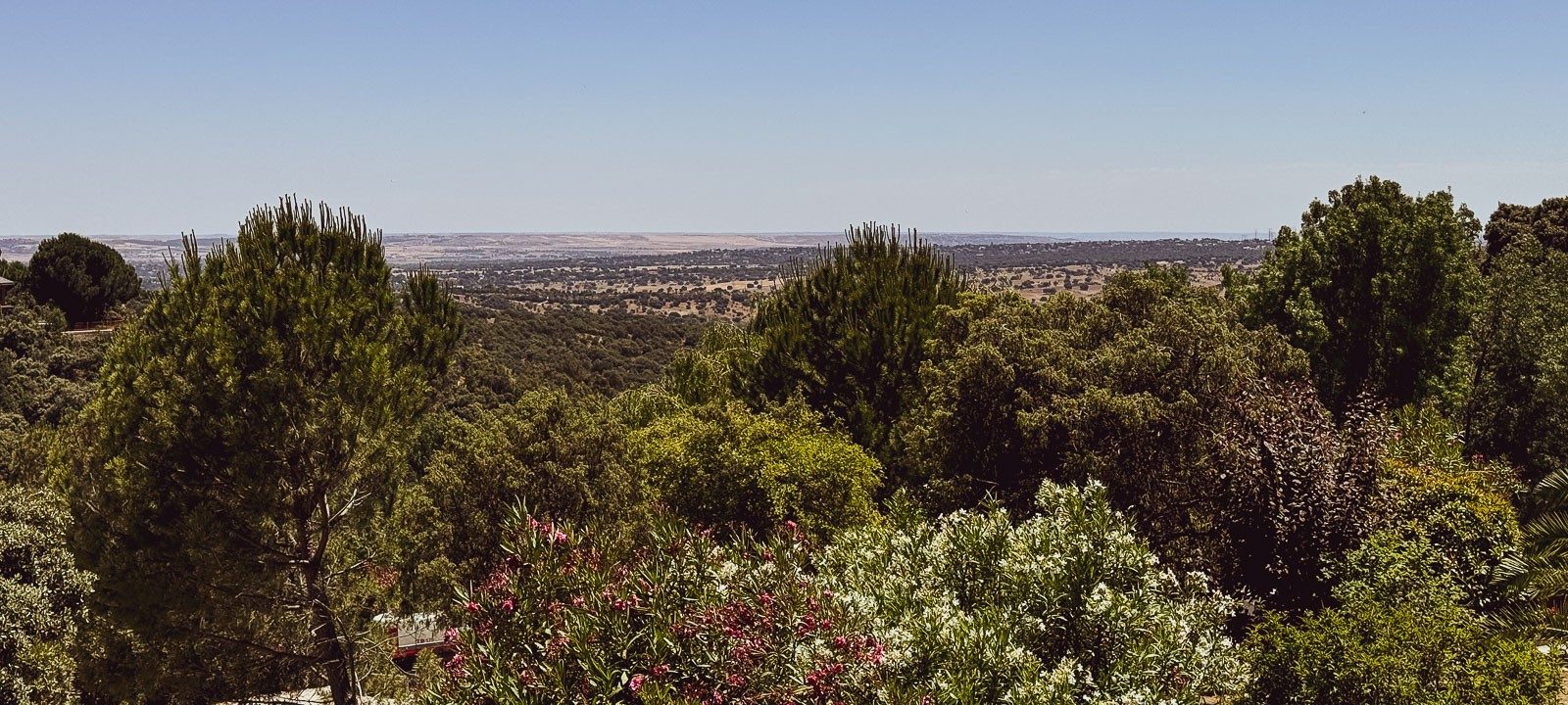 El Mirador del Sauce