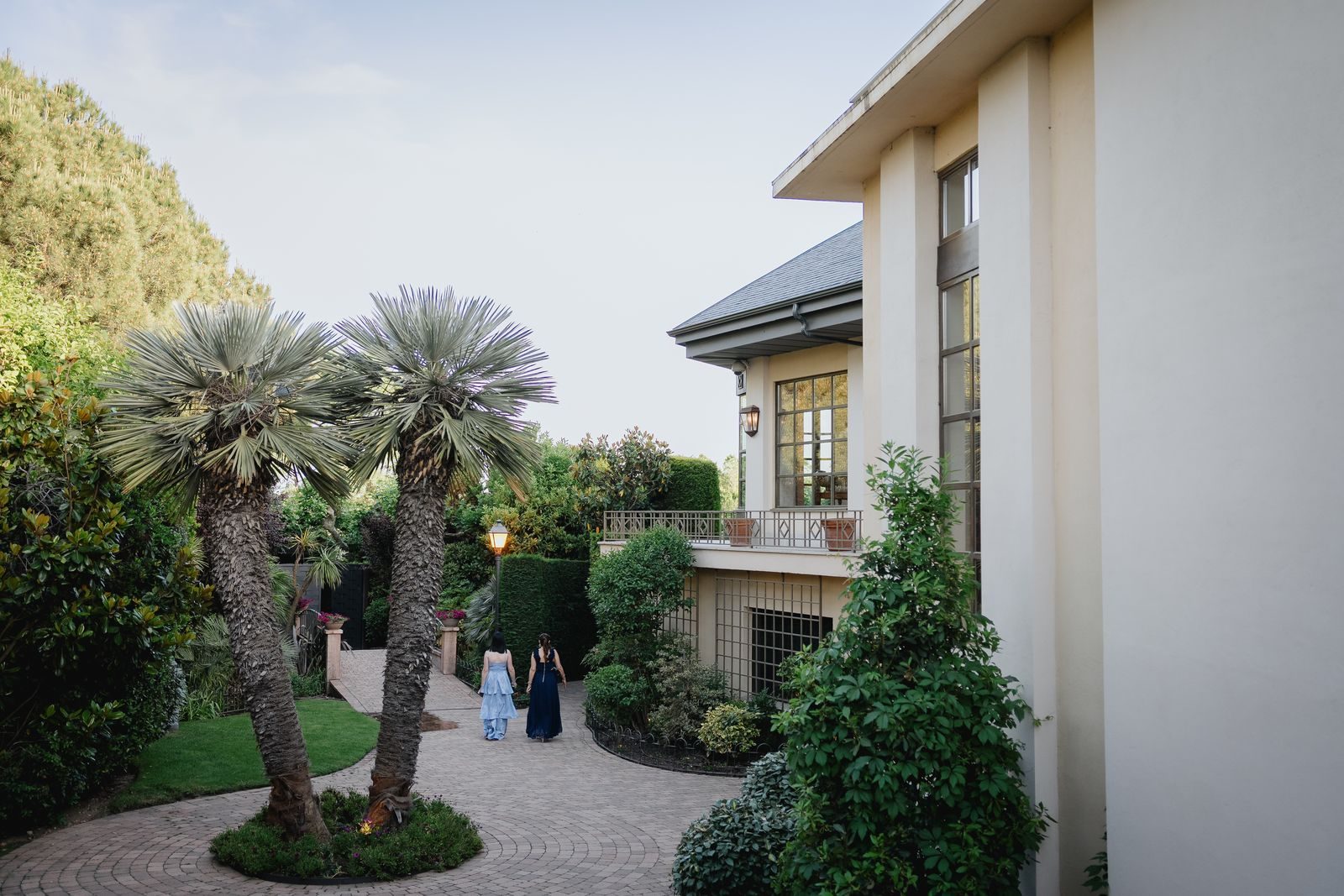 Las palmeras y la escalera del jardín.