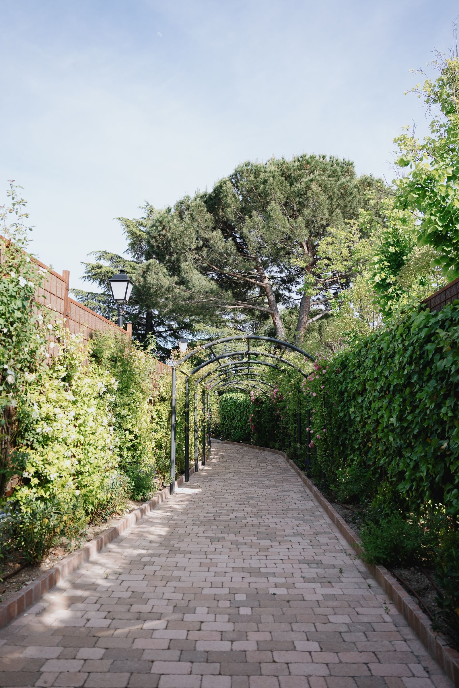 Un camino del jardín bajo el arco de plantas.