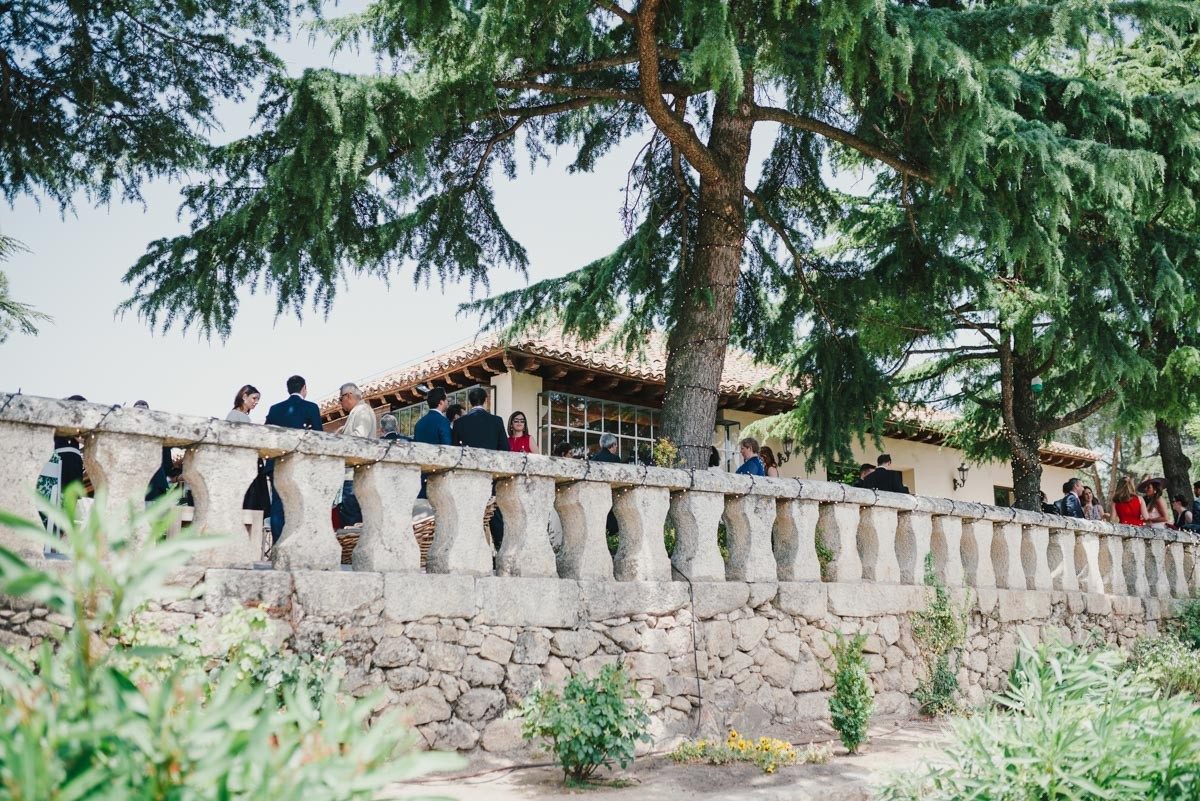 Finca Najaraya