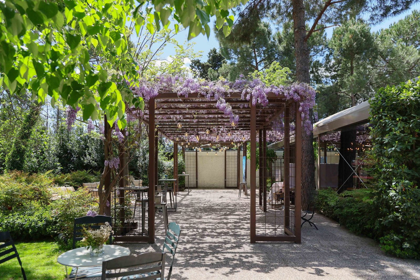 Zona exterior con pérgola y jardín
