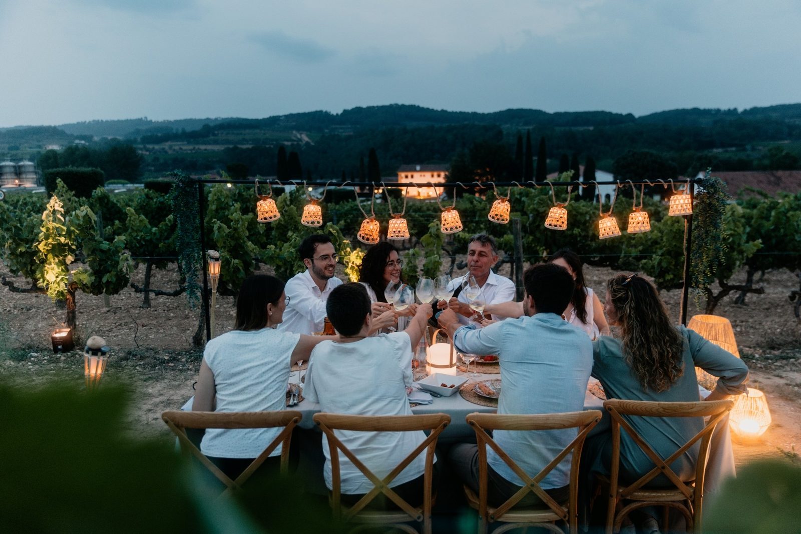 Cena montada en el viñedo