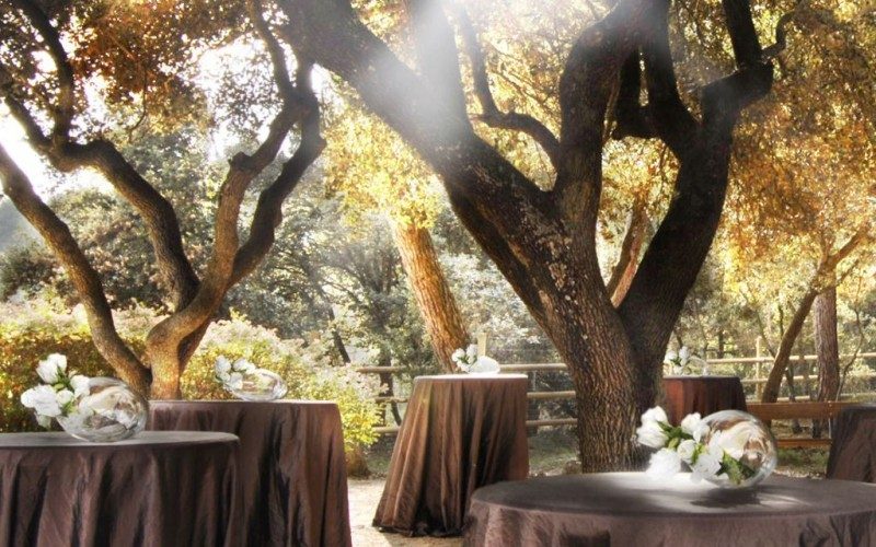 El Encinar, espacio exterior para ceremonias y aperitivos bajo las encinas