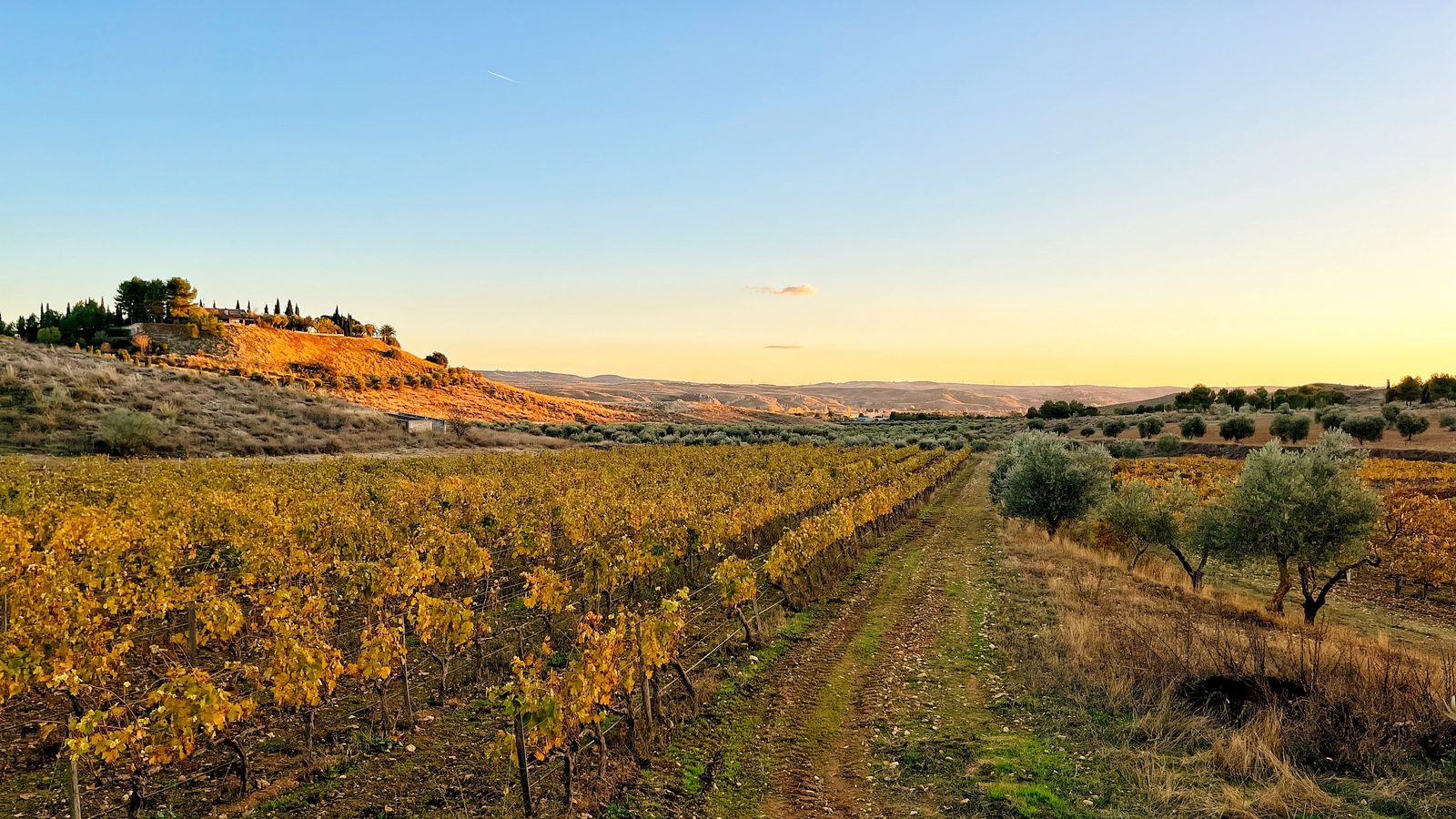 Finca Val Azul Wine & Venue