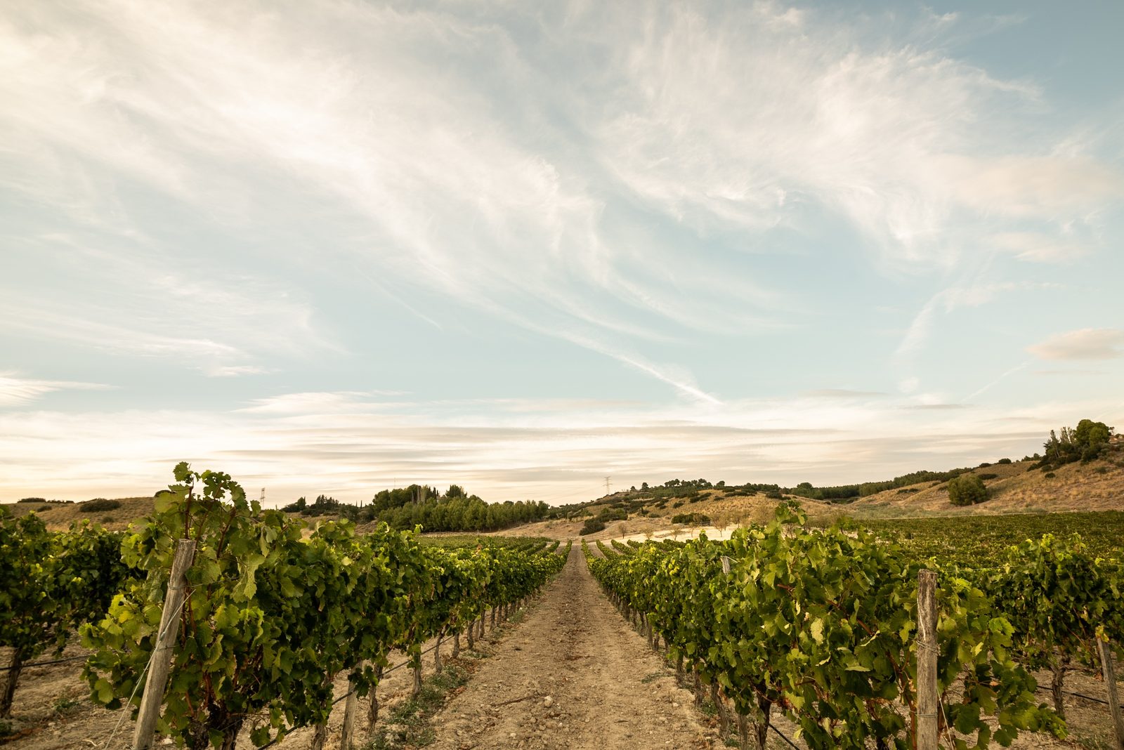 Finca Val Azul Wine & Venue