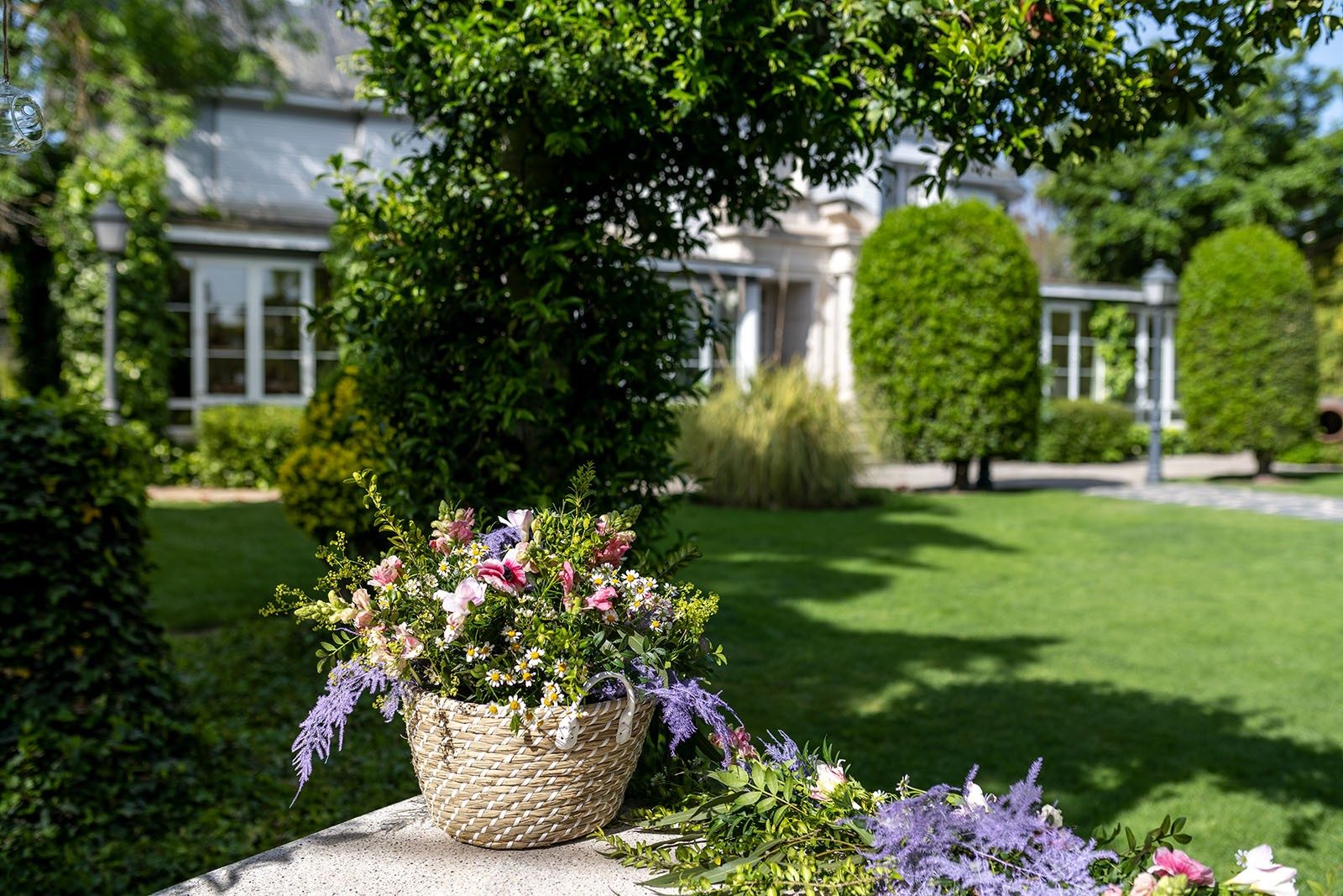 Jardines de la finca